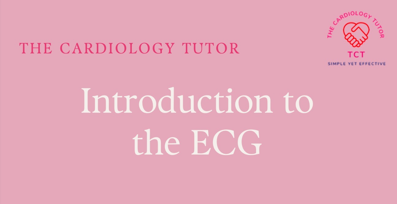 📘 Introduction to the ECG