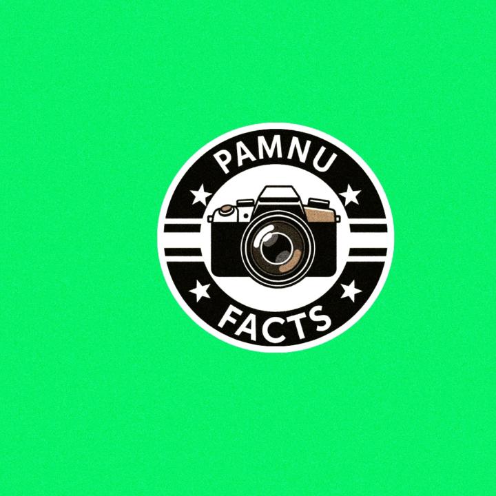 Pamu Facts