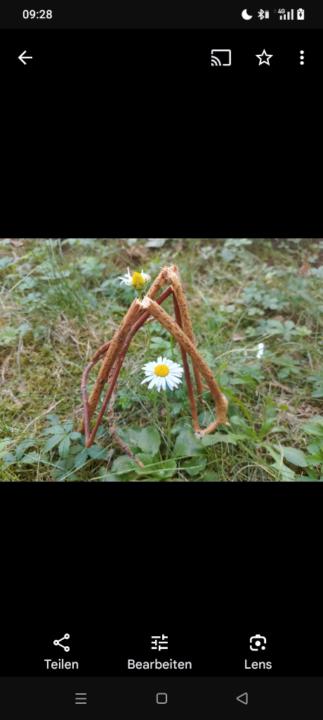 Lyz Alexandra Schmid