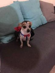 Dulce maely Cruz Flores