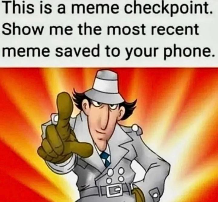 Meme Checkpoint