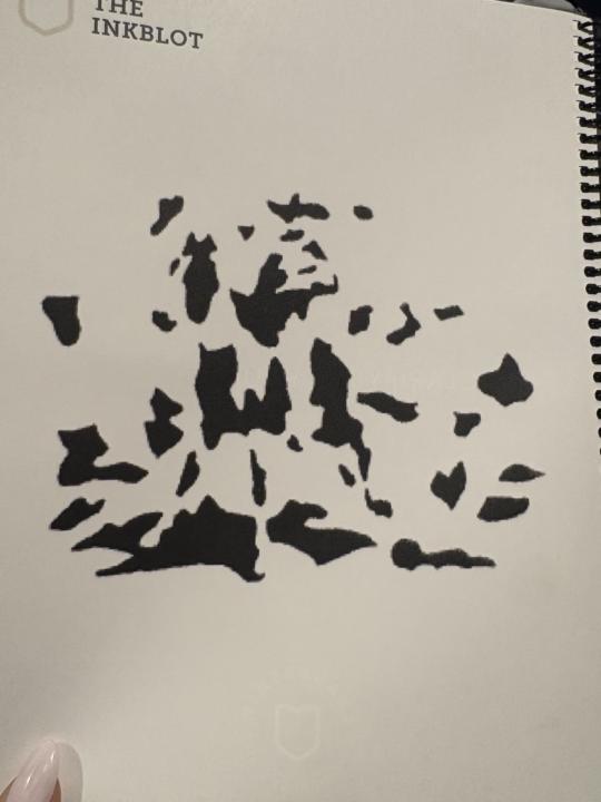 What image do you see in this photo???