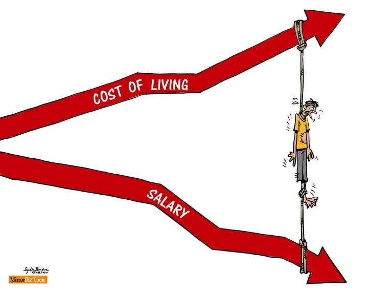Life in summary 