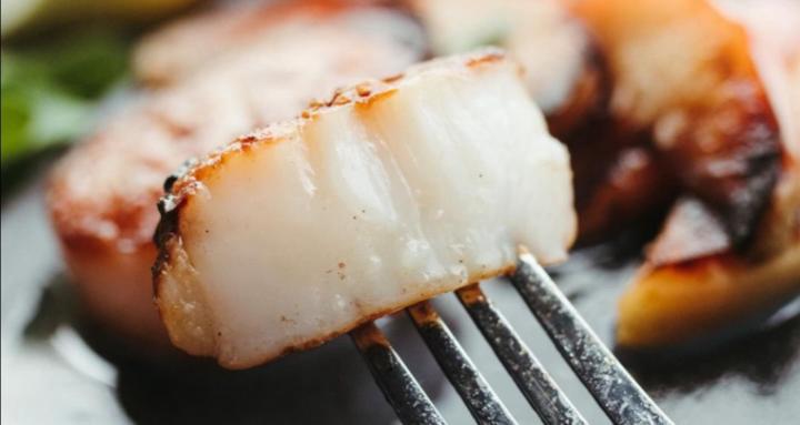 Building Healthy Habits