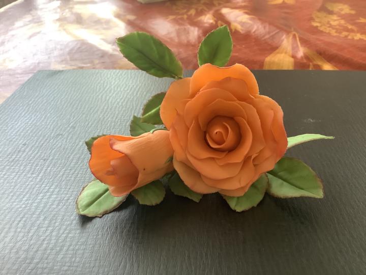 Rose