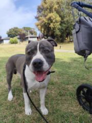 Jose antonio Segui gaviño