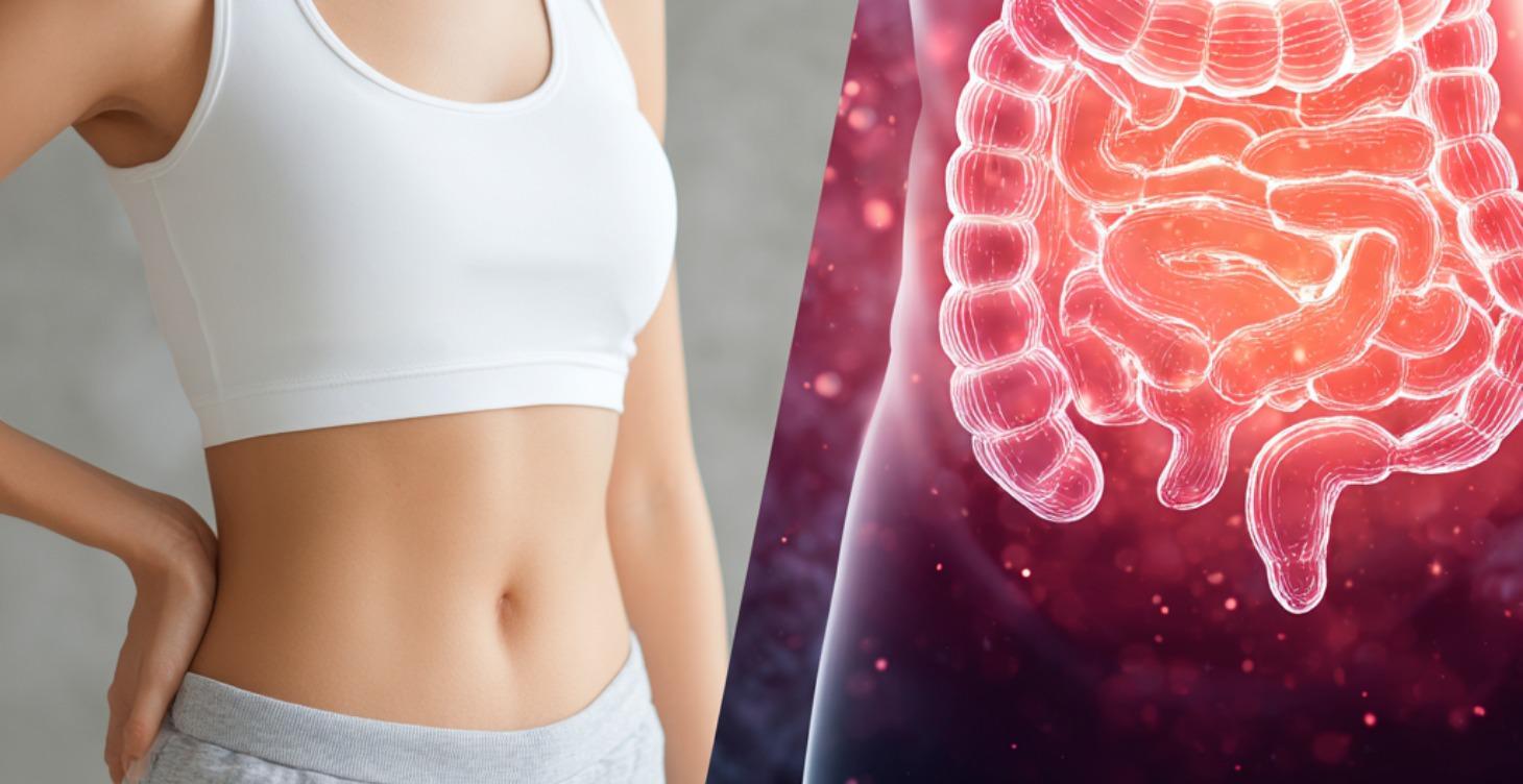 HOW TO HEAL & SEAL THE GUT
