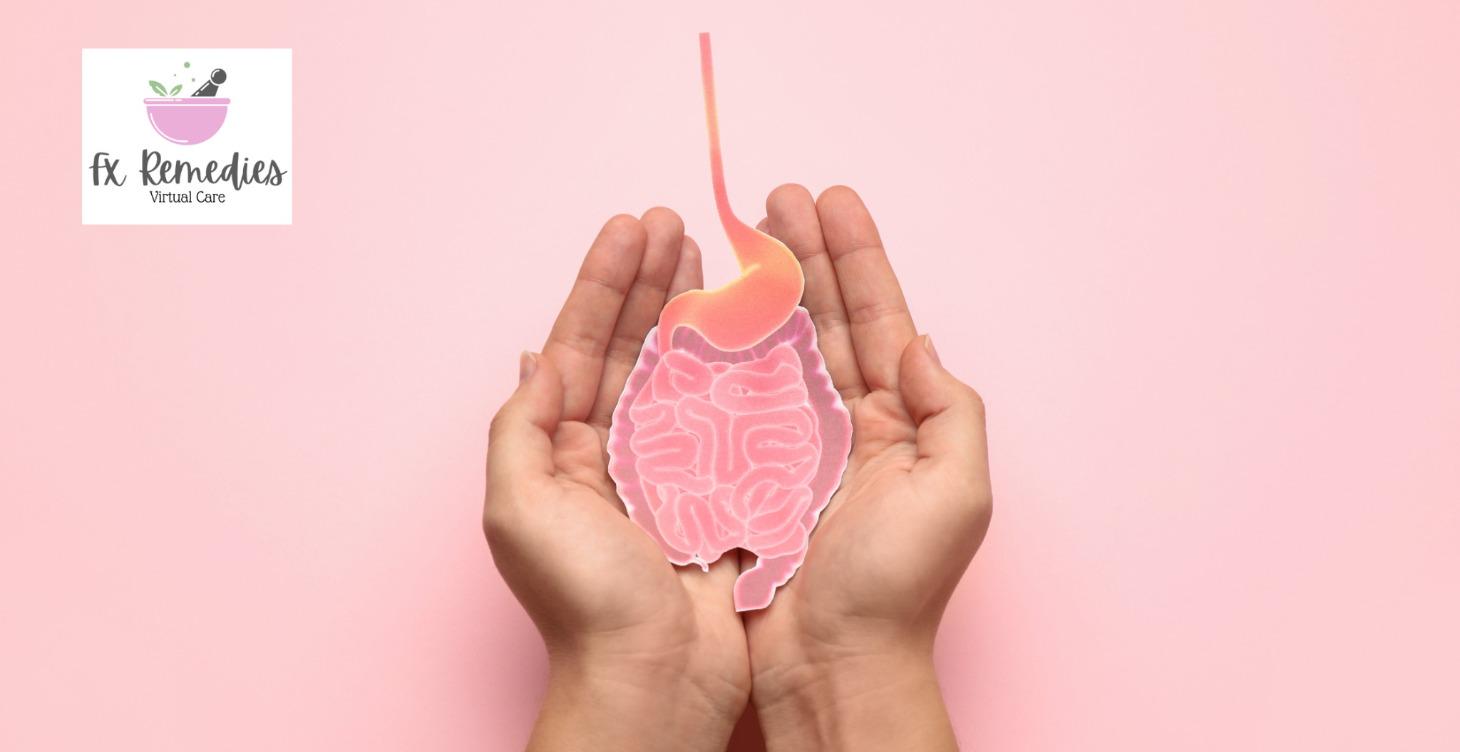 Gut Reset Journey Roadmap