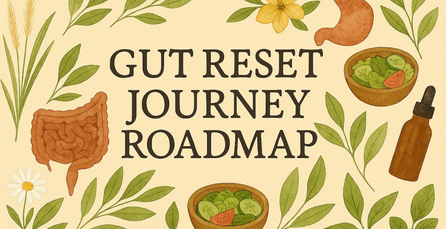 Gut Reset Journey Roadmap