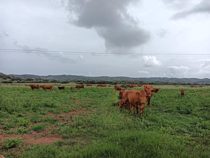 Cristina Gonzalez Sanchez