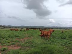 Cristina Gonzalez Sanchez