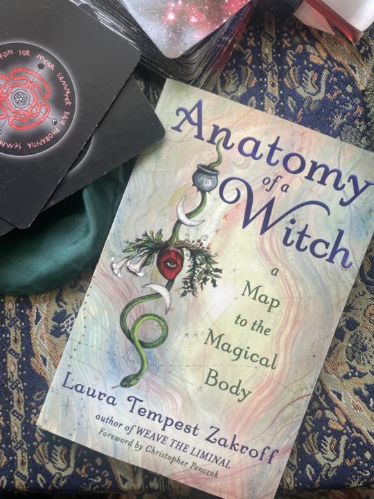 📚 Look What Just Landed