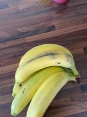 Anus-James Anderscookhill