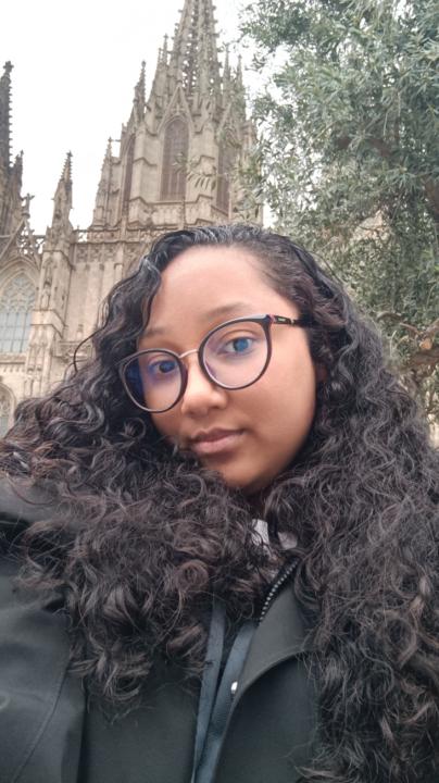 Lawis Yaël Steffani