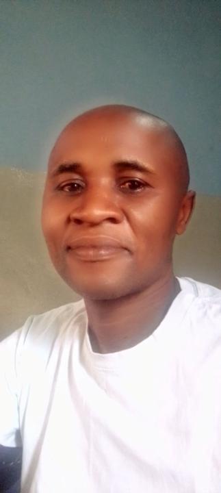 Rodent Kayumba