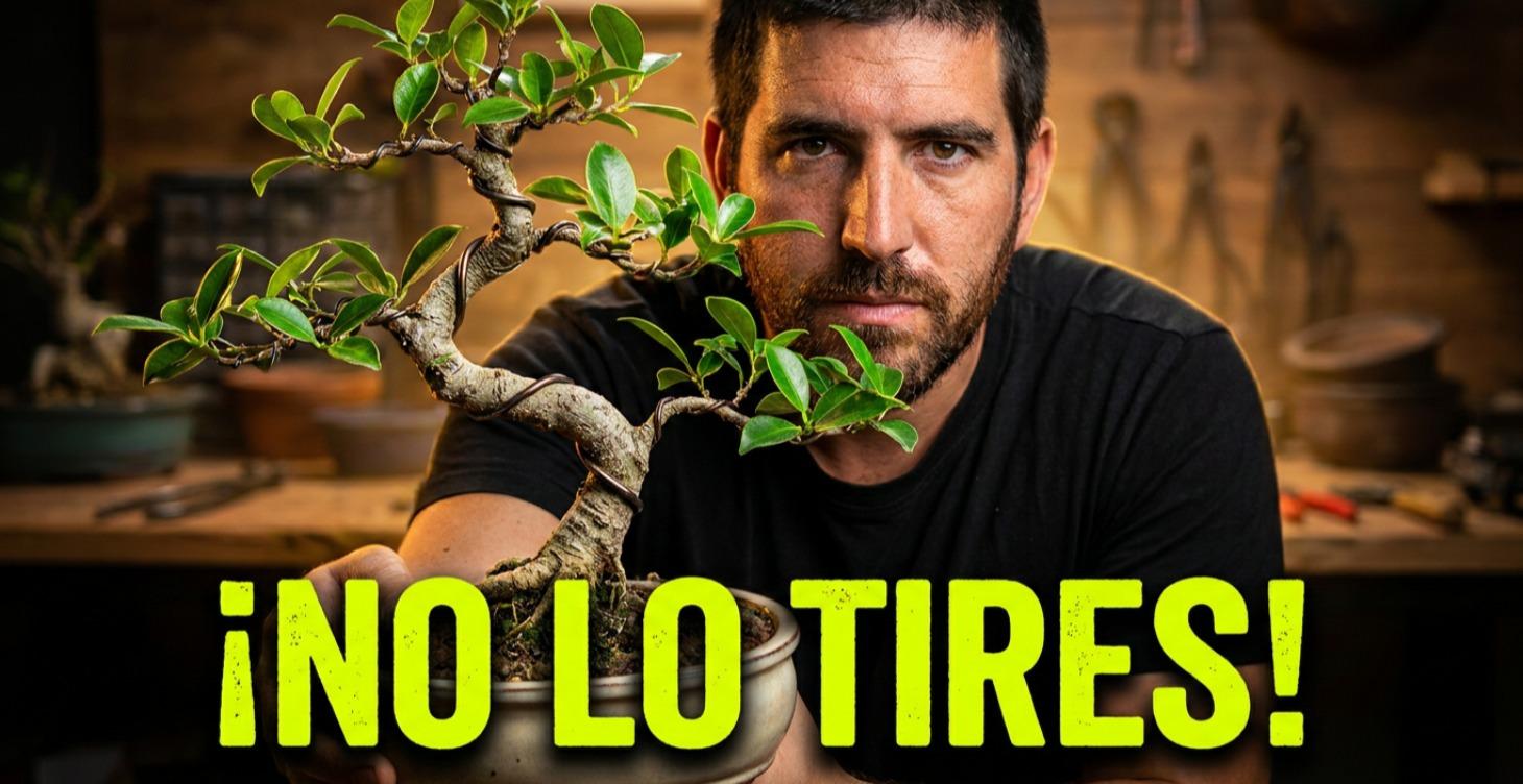 Cómo alambrar un FICUS en S