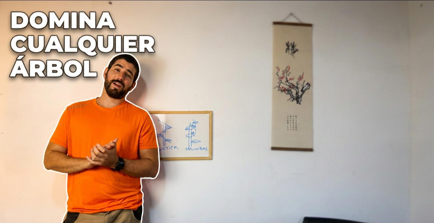 Filotaxia/Morfología Aplicada al Diseño de Bonsái