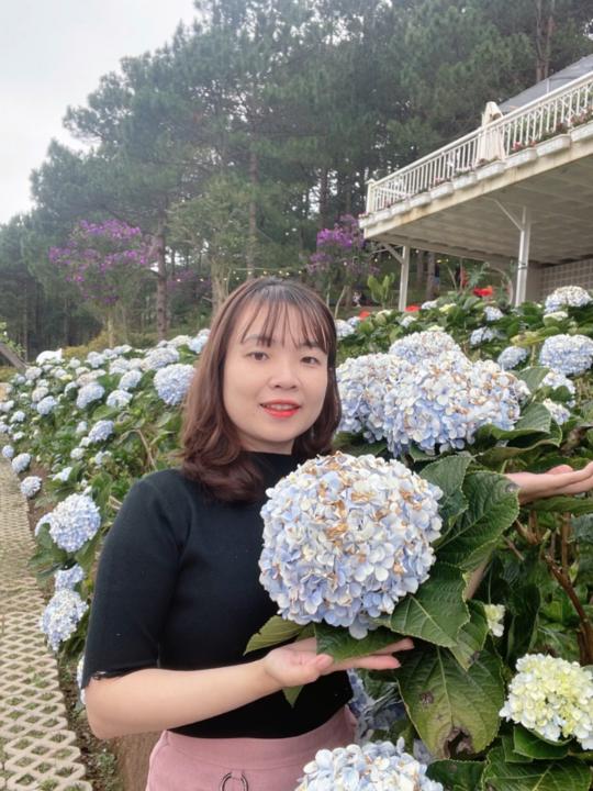 Đỗ Phương Thảo