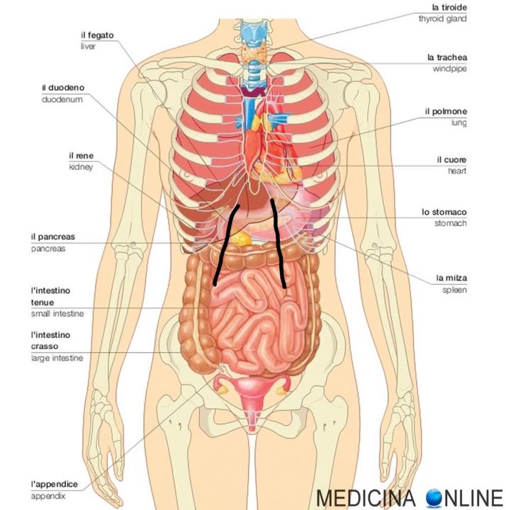Tensione addominale?