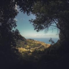 Nakia A