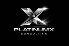 PlatinumX Consulting