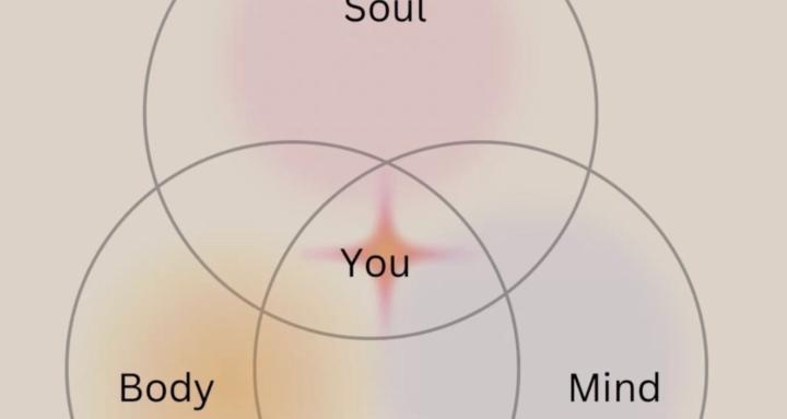 VIVE Wellness Community