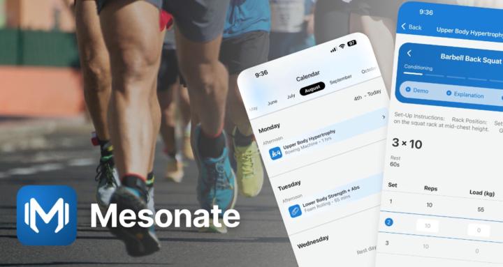 Mesonate Mentorship Program