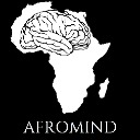 Institut d'excellence-Afromind