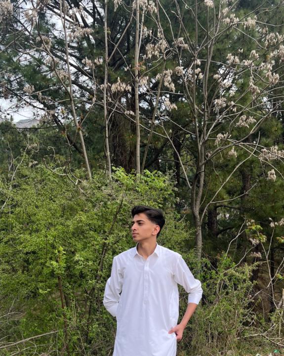 Shazain Malik