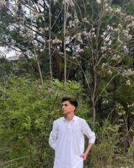 Shazain Malik