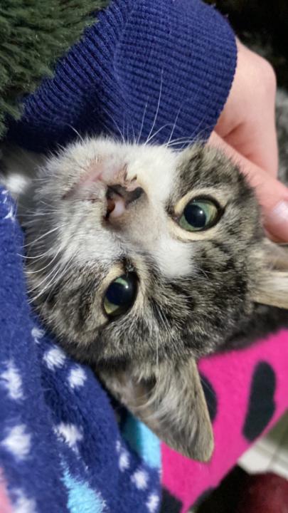 Antonia Antoniaaaaaa