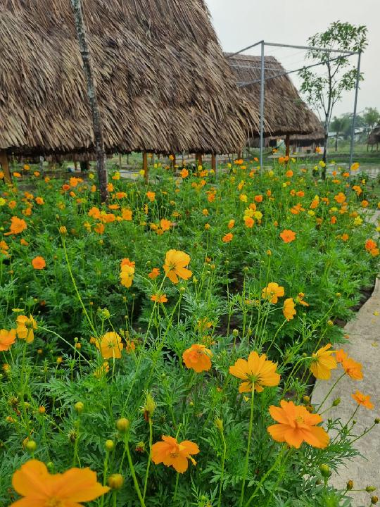 Nộp bài tập thực hành số 3 