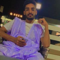 محمد الأمين الحسن