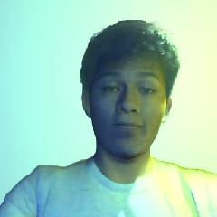 Jose Luis Villca Villegas