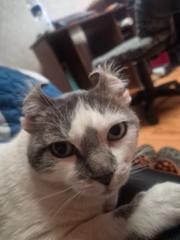 Brandon Leuro velandia