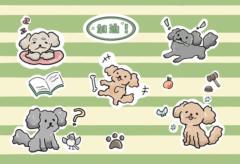 許 佳綾