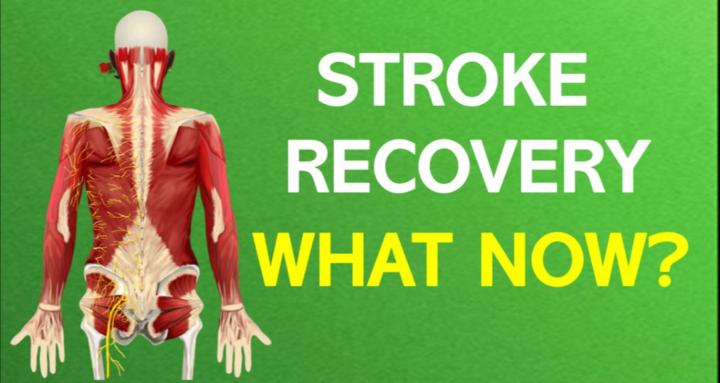 Stroke Recovery: What Now?