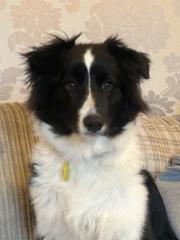 Leigh-Ann Lockwood-spooner