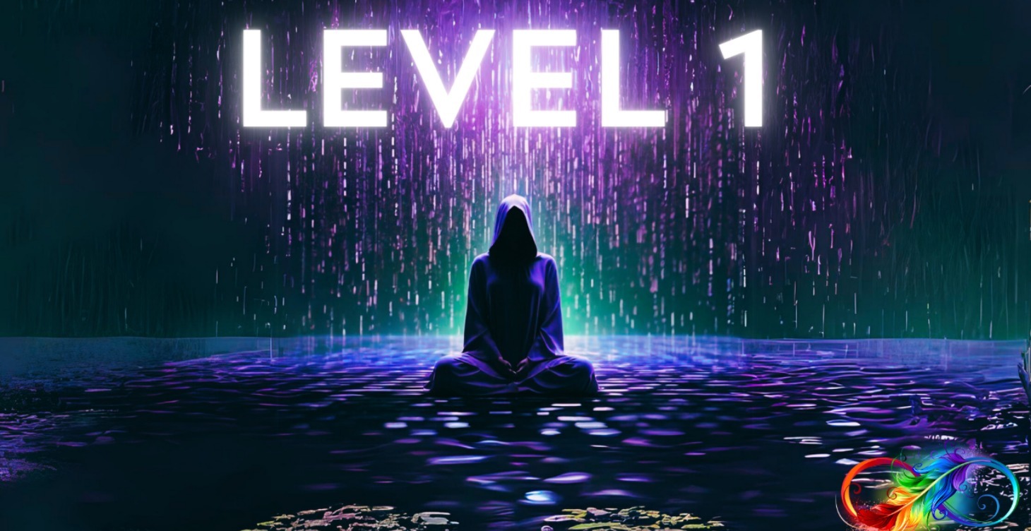LEVEL 1 - WHAT IS MEDIUMSHIP?