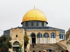 Fawzi Abu leil