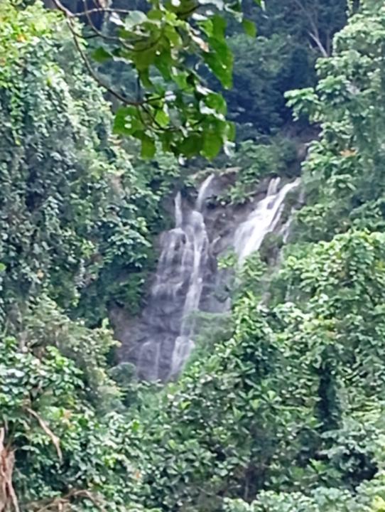 Augusta Waragi