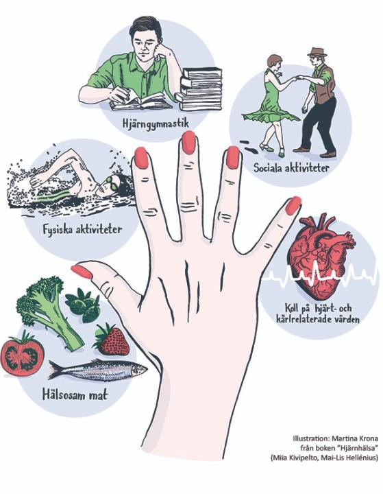 Cecilia lindestam Viebke