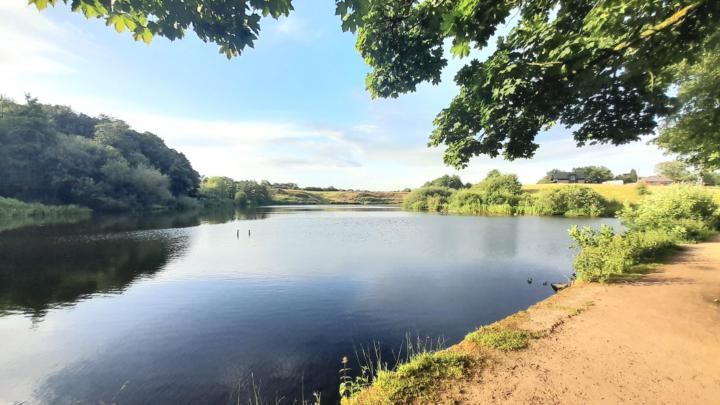 Tonight's walk besides the lake/nature 💝