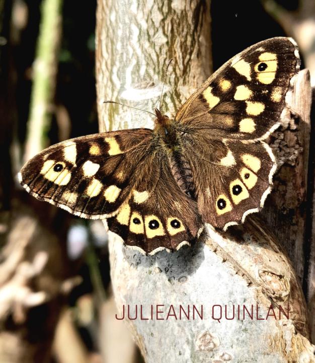 Journalling earlier this morning in the garden 💕