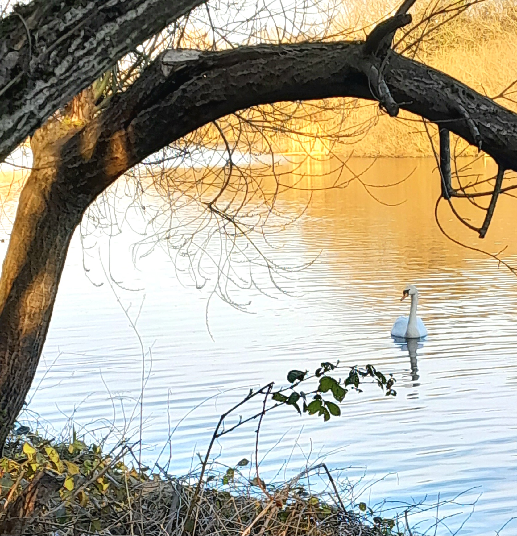 Grounding. · Learning As I Go
