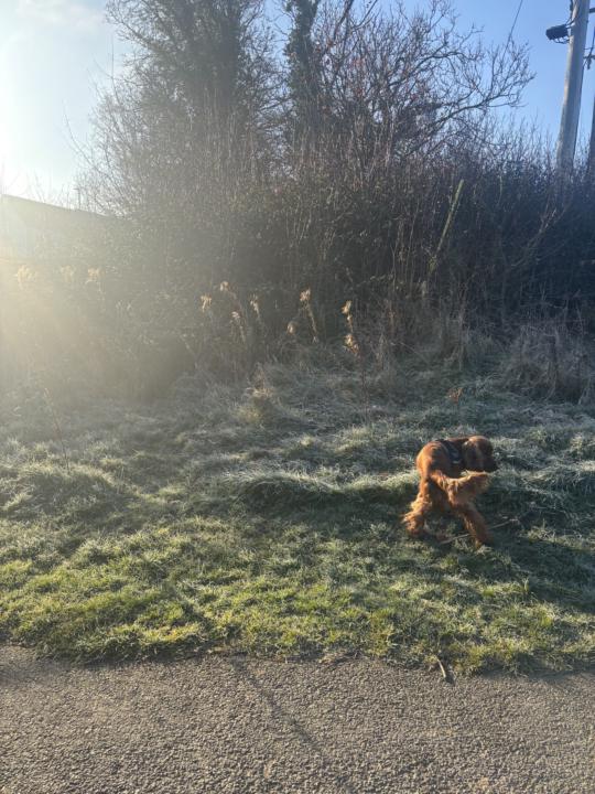 Still here, still sober 75 Days 🥳