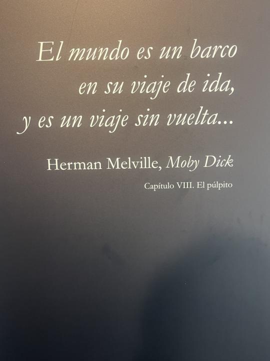 Feli finde 