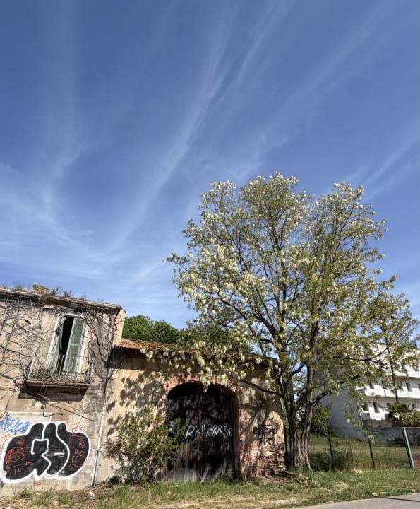 LA PRIMAVERA!🥰