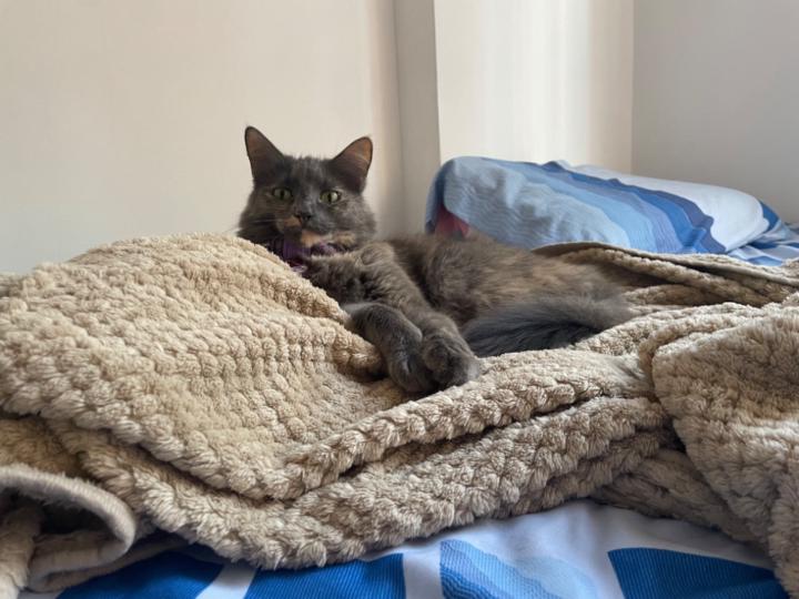 Nathalia Ordoñez Veloza