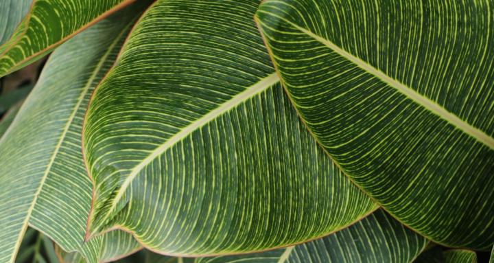 The Mom Glow Sanctuary